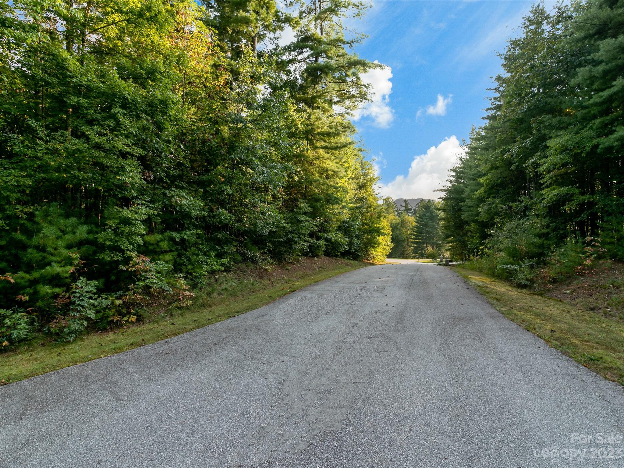 LOT 20 Daylily Drive