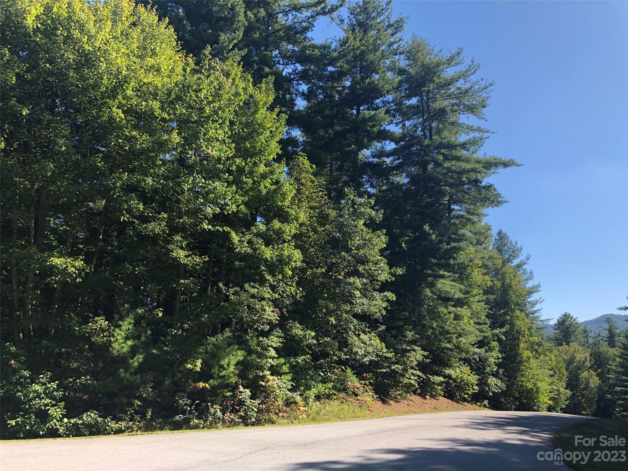 LOT 20 Daylily Drive