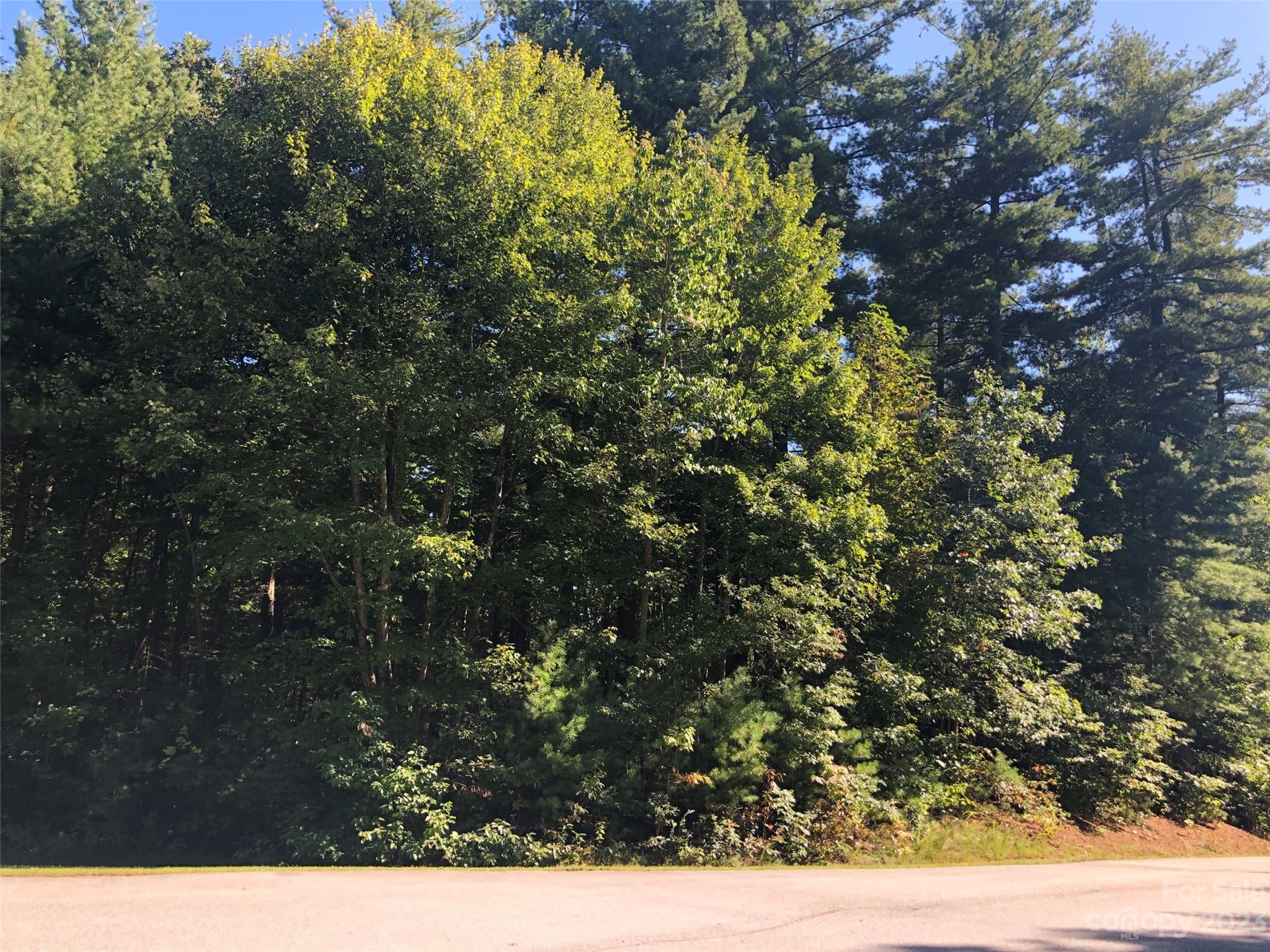 LOT 20 Daylily Drive