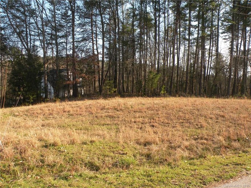 This is a Beautiful wooded lot surrounded by beautiful estate homes. Lot also that backs up to a pond at the very back of Torrence Branch Cove of Lake Wylie. There is NO HOA. You can choose your own builder and build when you are ready. This property is in the Fort Mill school district. It is approx. a 10 minute ride to I-77.