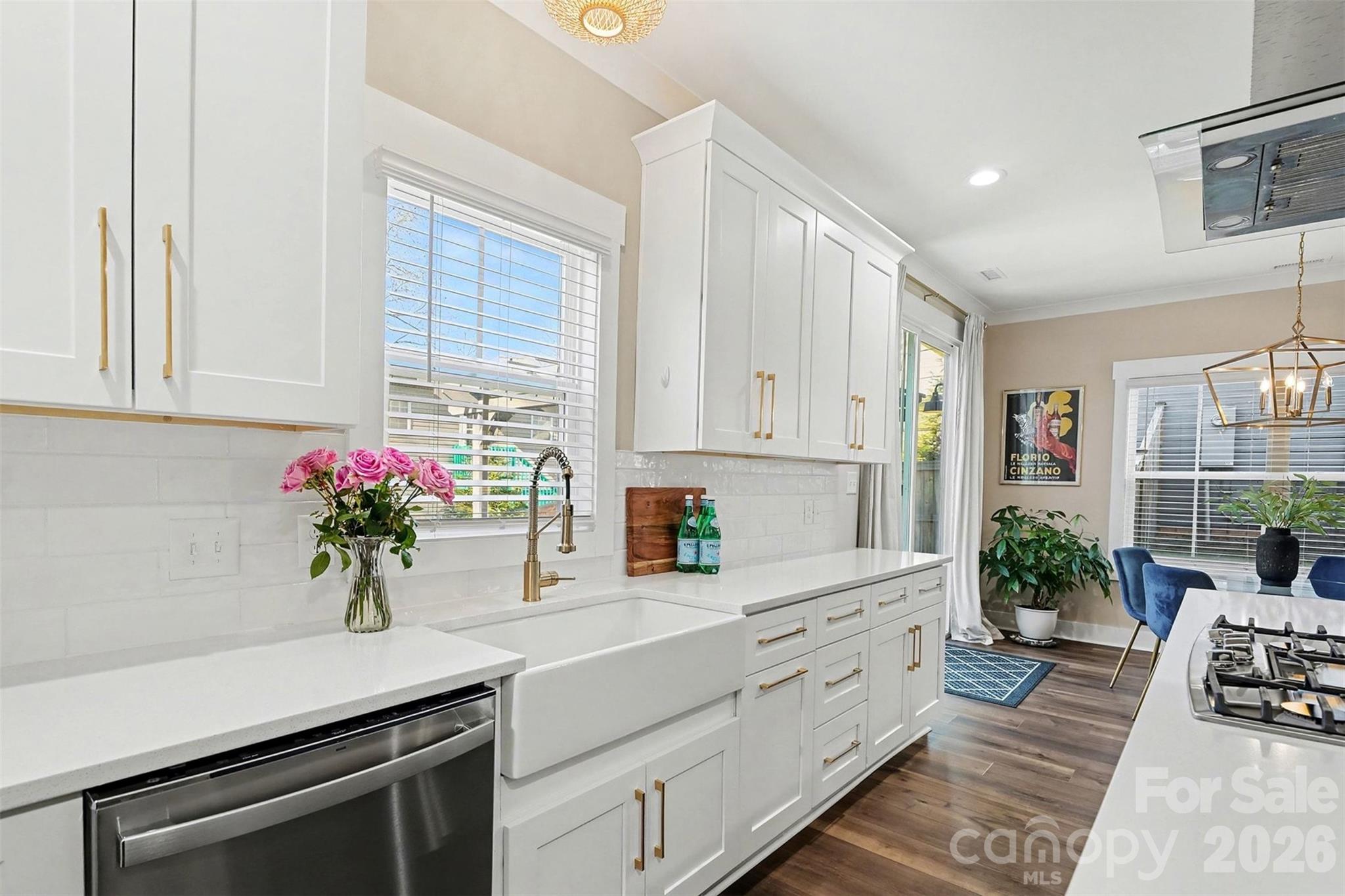 Seversville - Residential