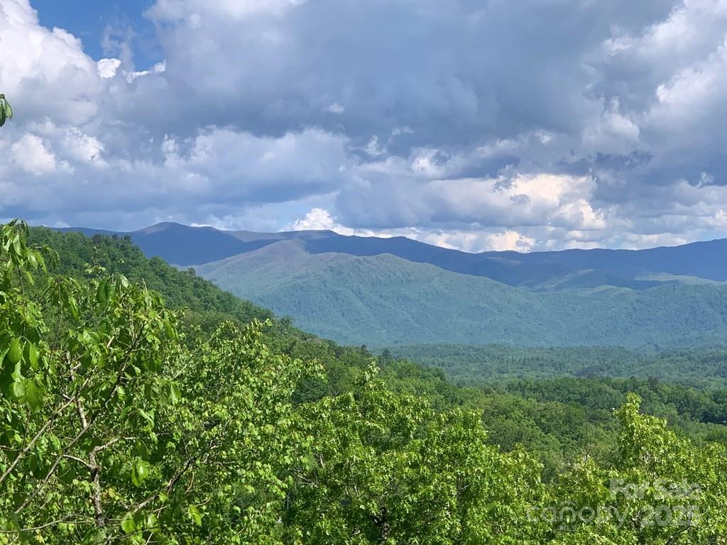 377 Freeman Overlook