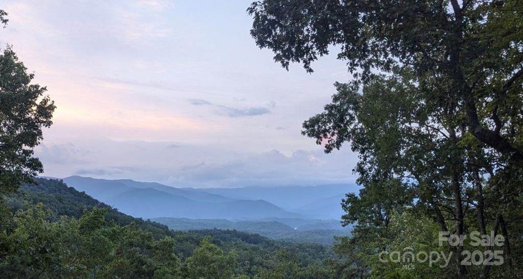 377 Freeman Overlook