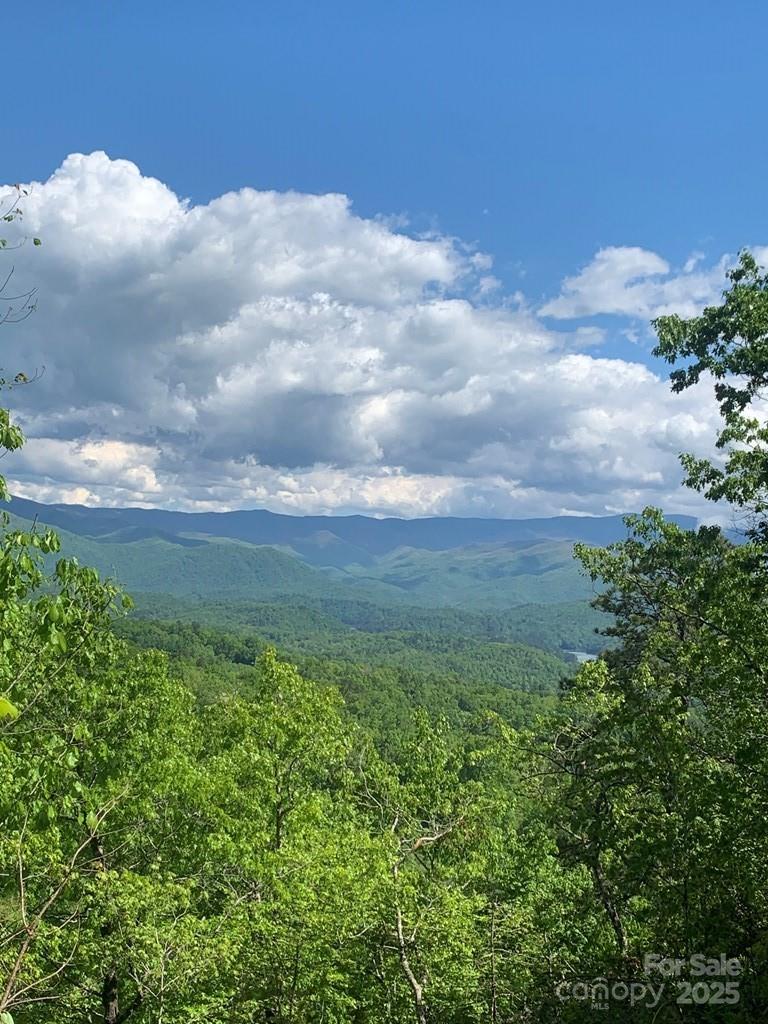 377 Freeman Overlook
