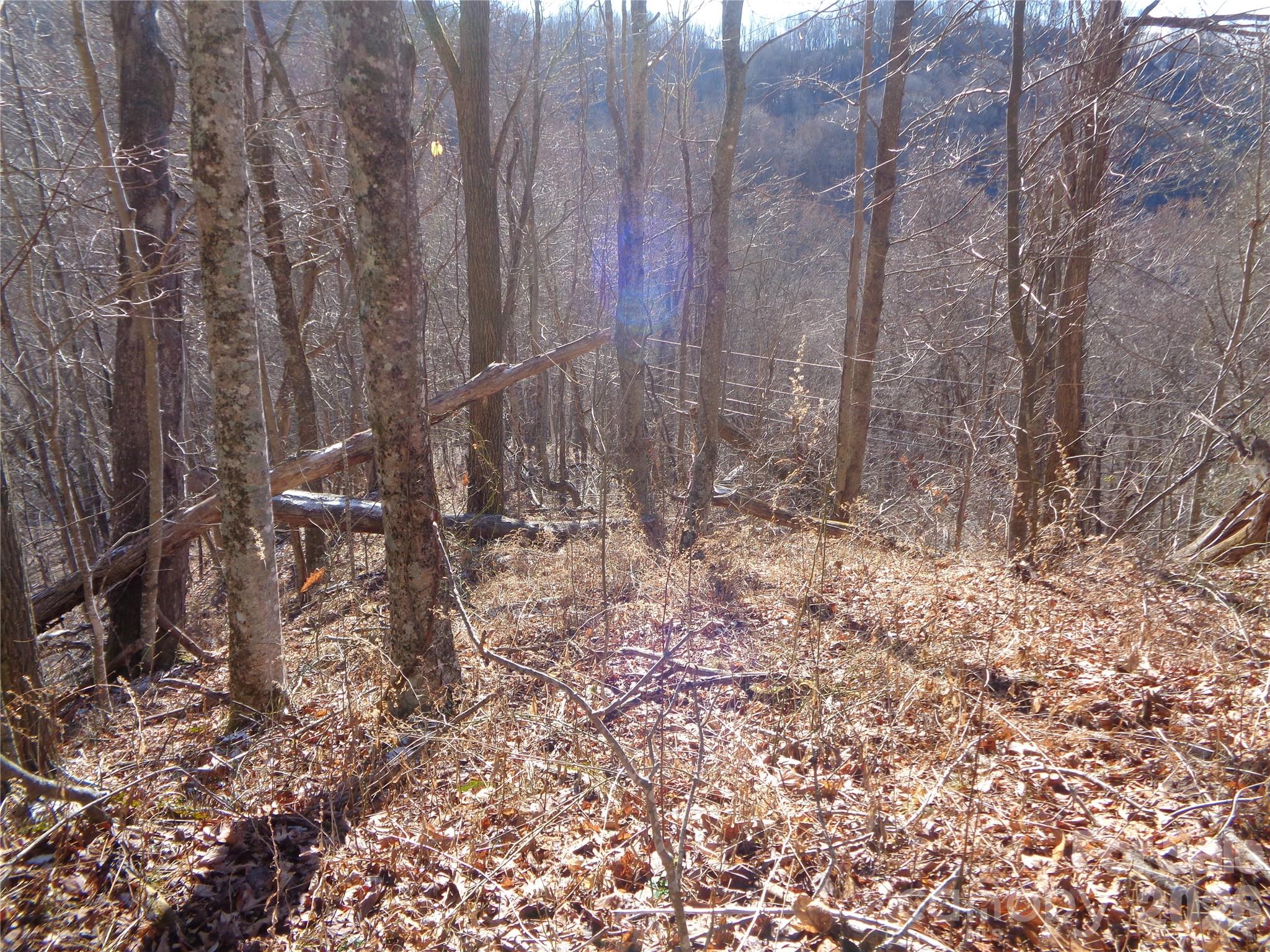 Sacred Cove Estates - Land