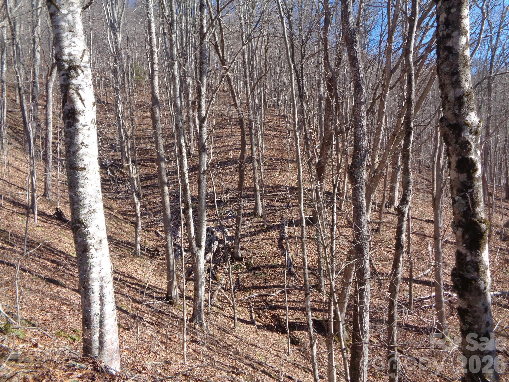 Sacred Cove Estates - Land