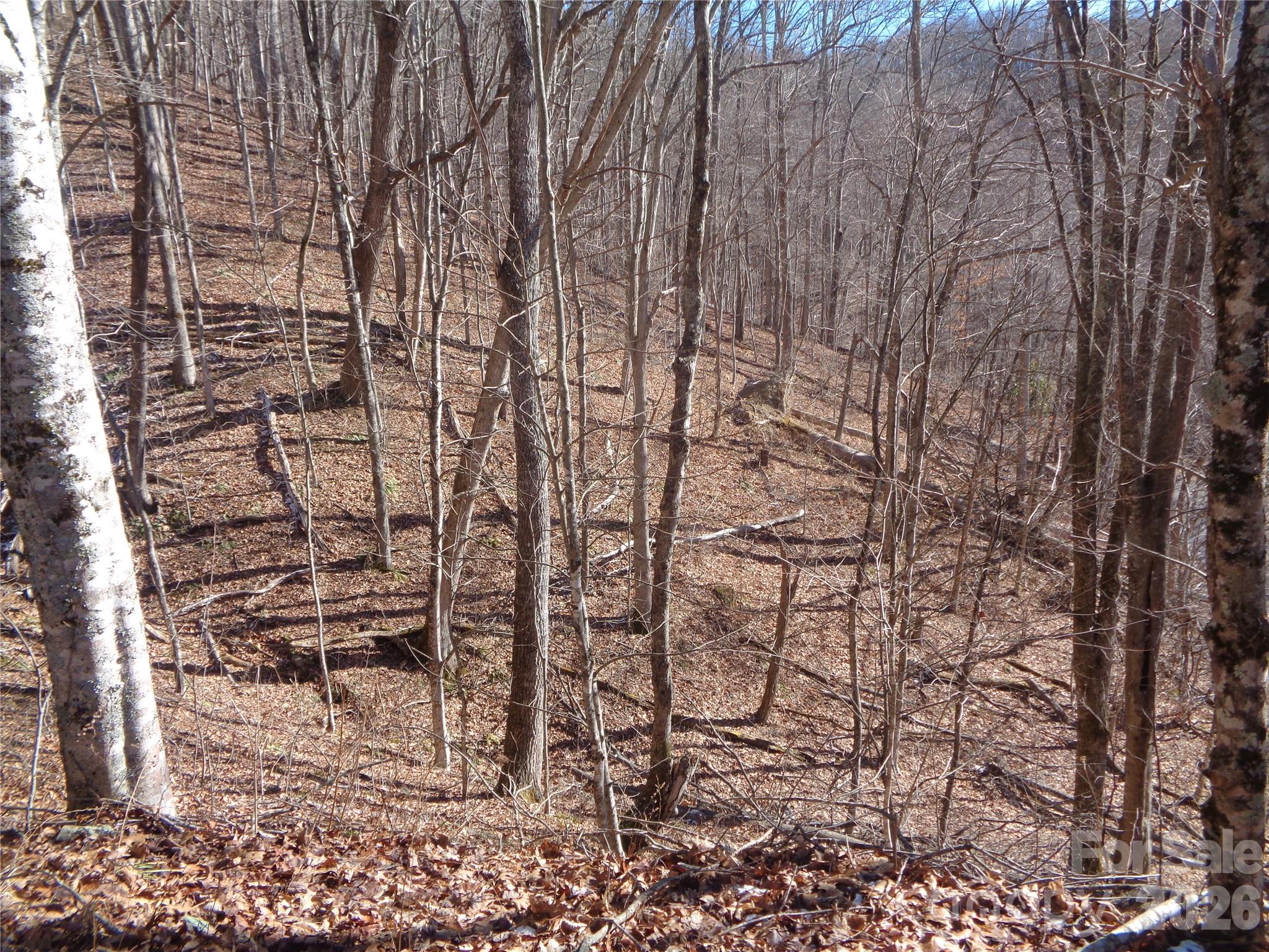 Sacred Cove Estates - Land