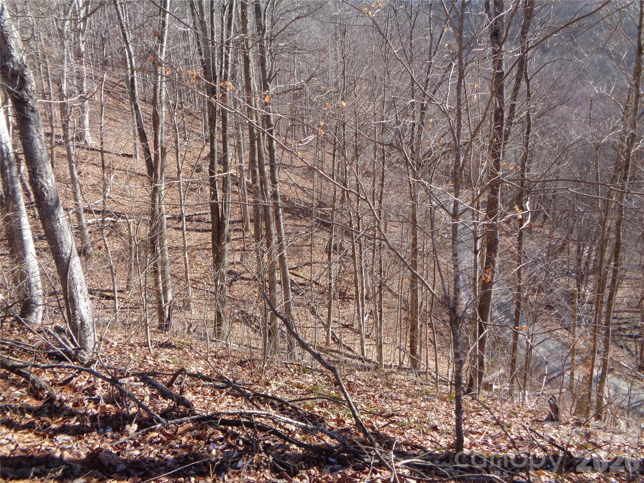 Sacred Cove Estates - Land