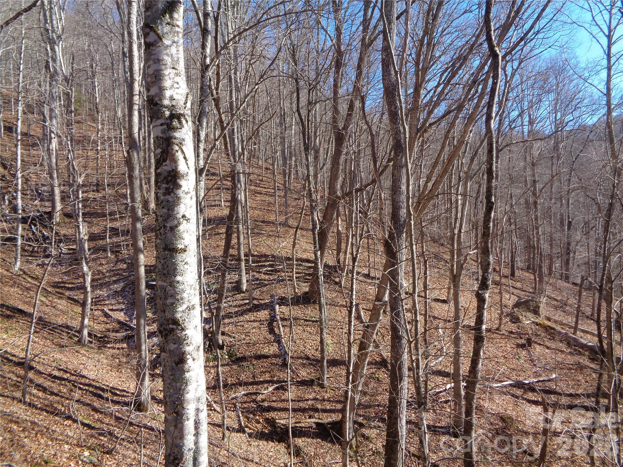 Sacred Cove Estates - Land