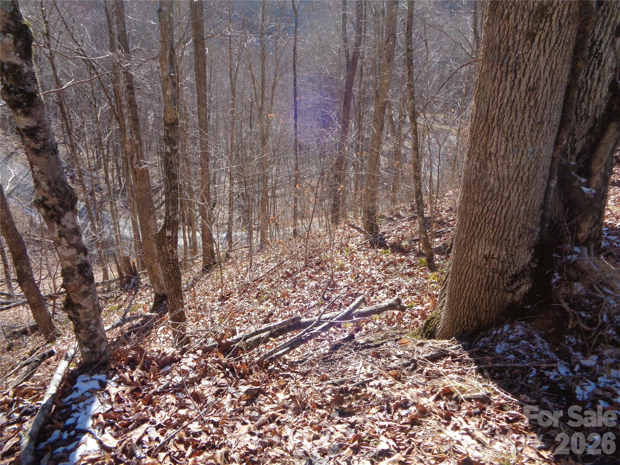 Sacred Cove Estates - Land