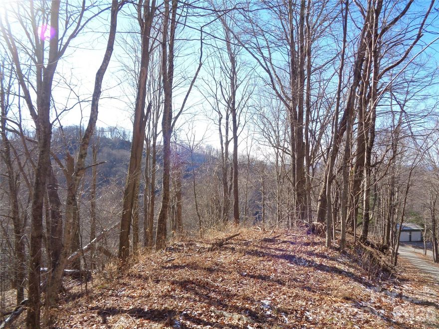 Build your dream home or vacation home on this beautiful mountain parcel located in Sacred Cove Estates; a wonderful development of mostly Summer/Vacation homes. This property offers the potential for a private setting among natural trees and vegetation. Mountain & Valley views with some tree cutting. Only a short distance to Waynesville, The Blue Ridge Prkwy, The Great Smoky Mountains National Park, and so much more.