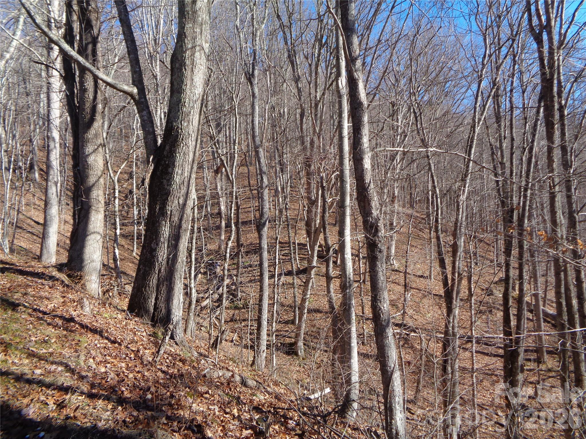 Sacred Cove Estates - Land