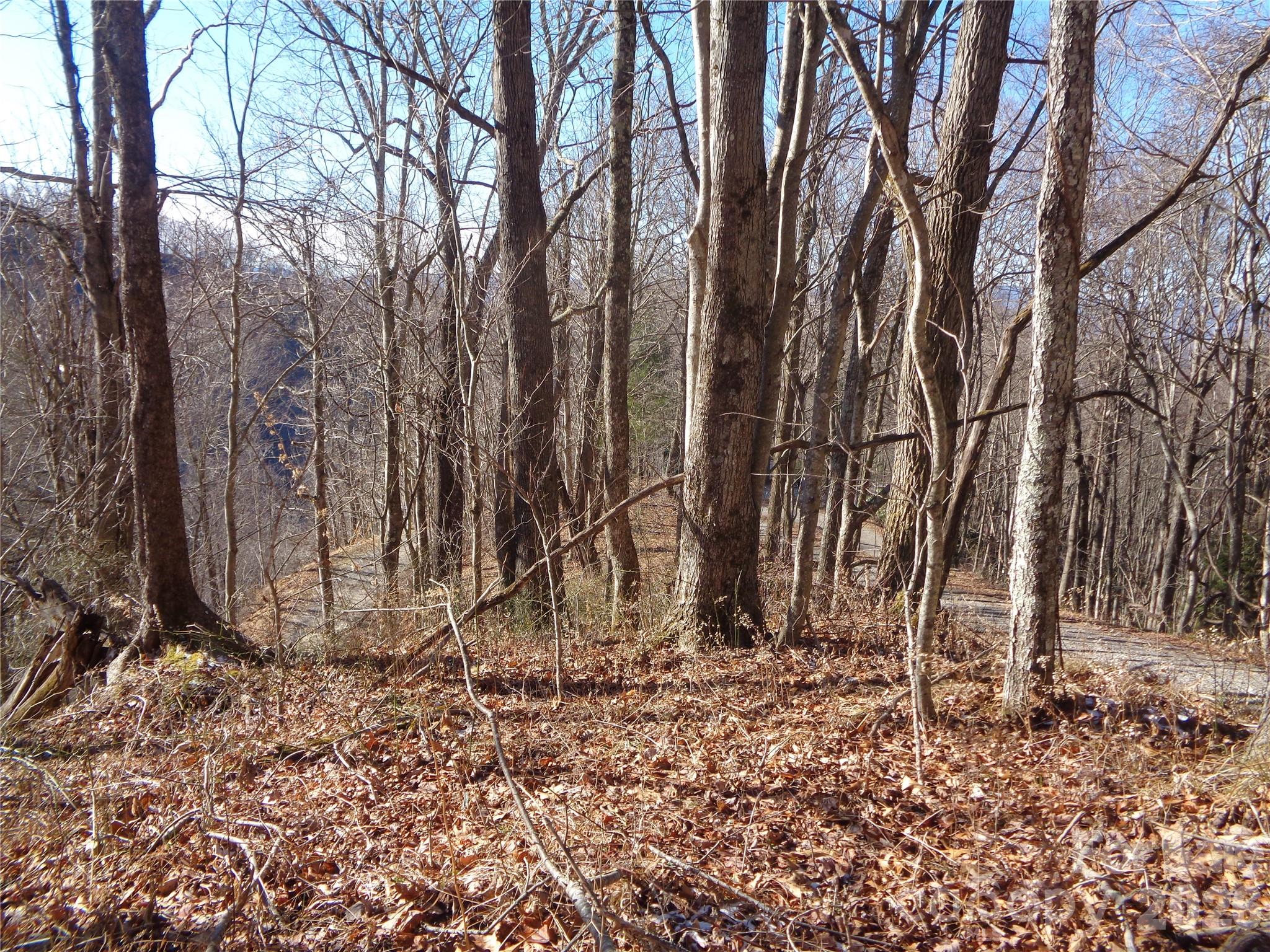 Sacred Cove Estates - Land