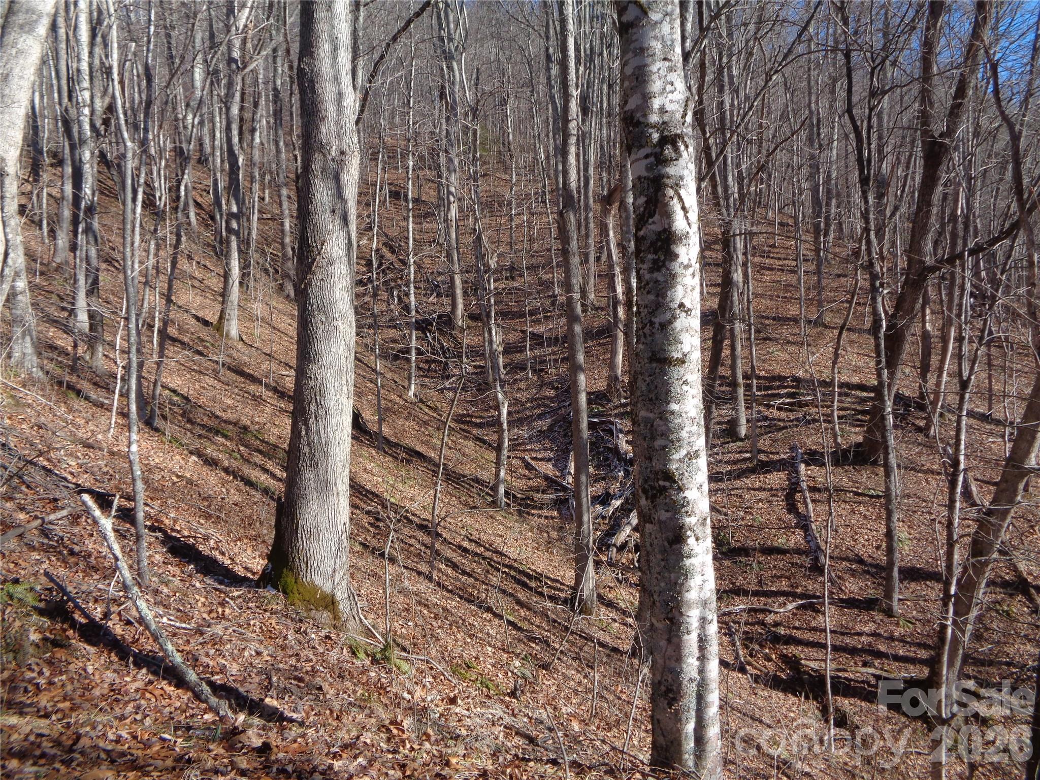 Sacred Cove Estates - Land