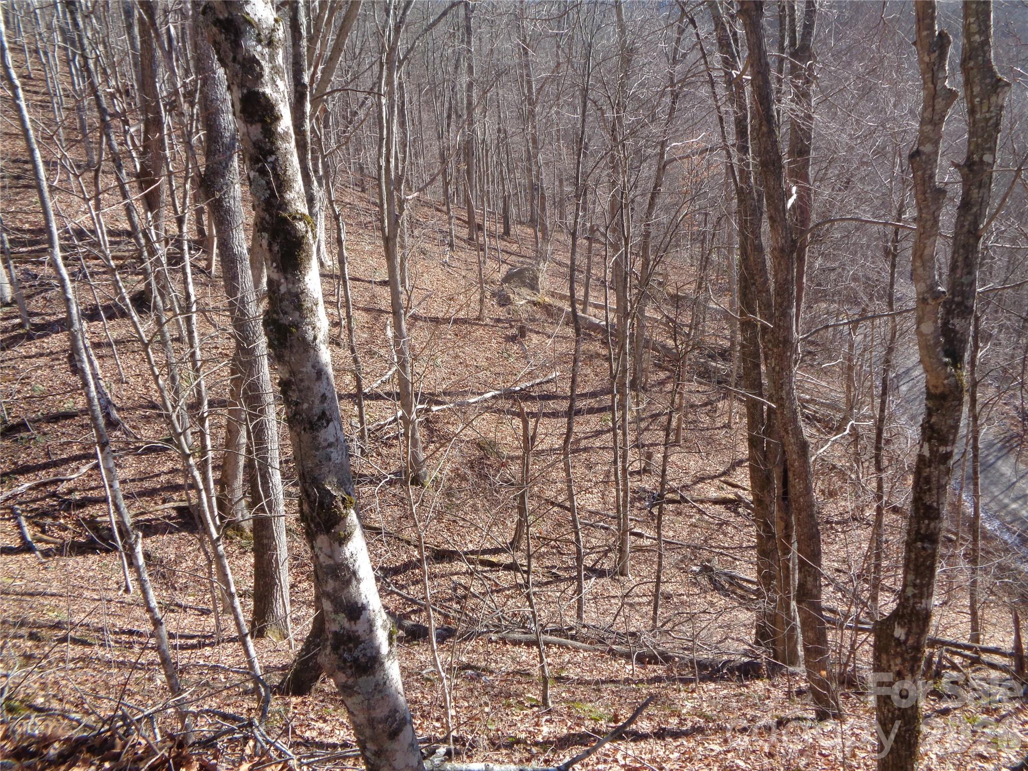 Sacred Cove Estates - Land