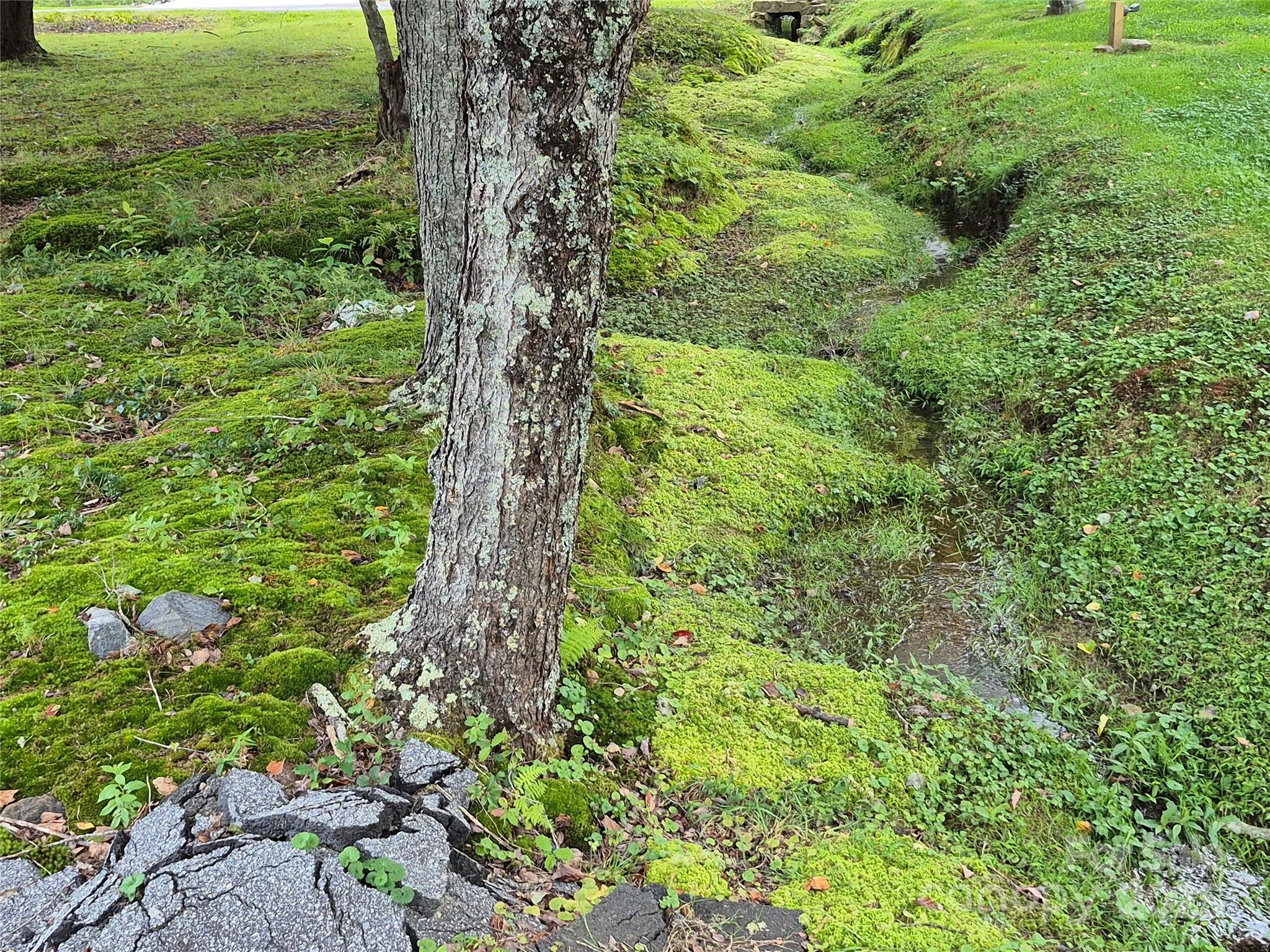 Lot #26 Meandering Way