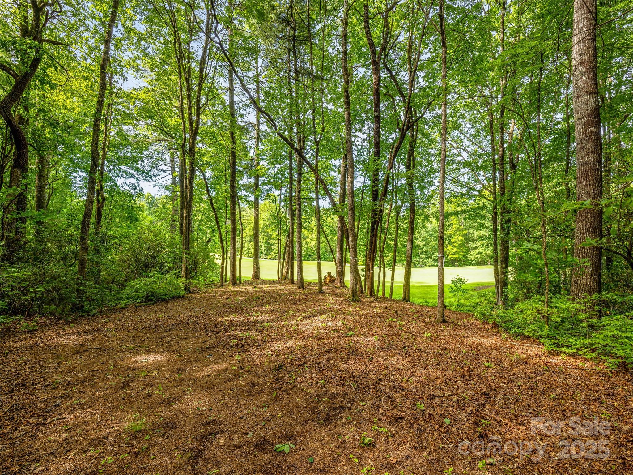 Lake Toxaway Estates - Land