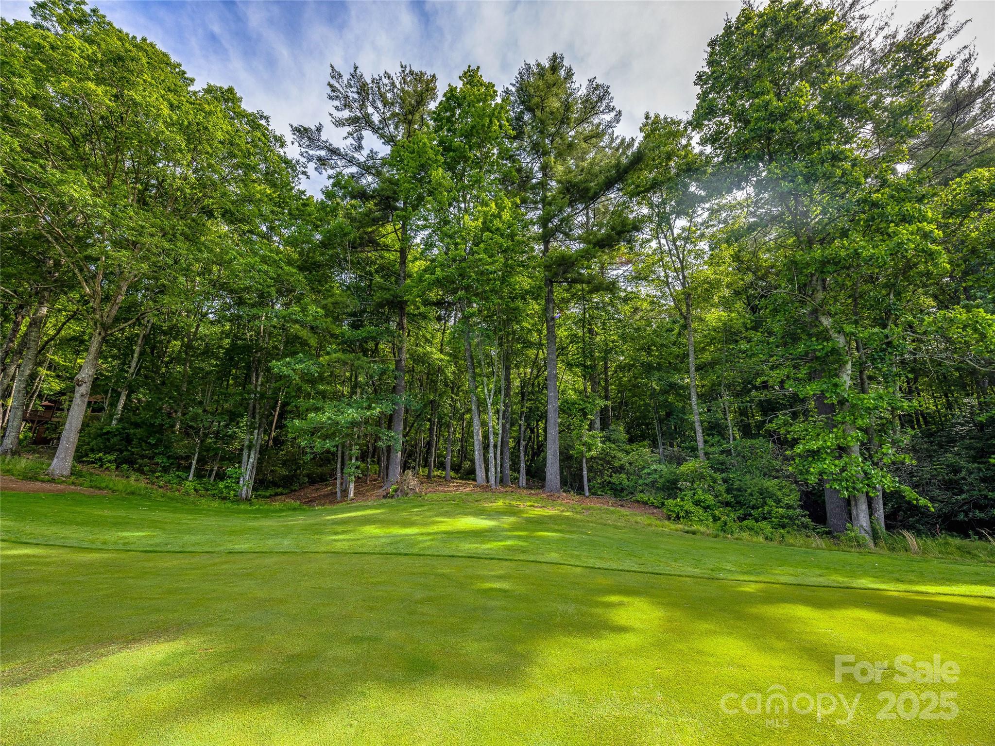 Lake Toxaway Estates - Land