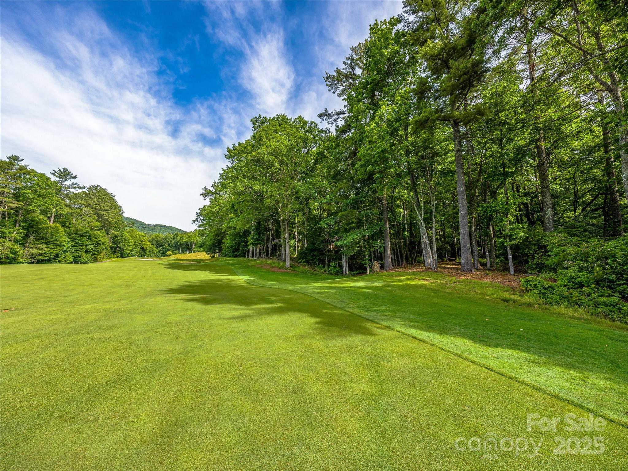 Lake Toxaway Estates - Land