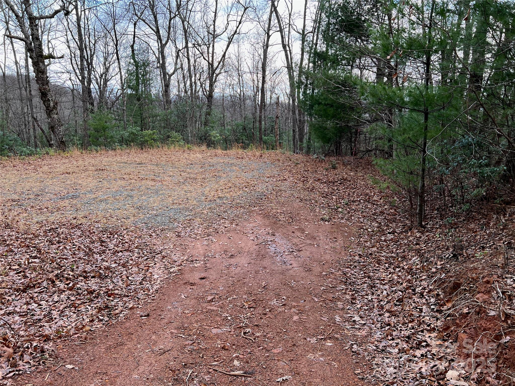 290 Shoal Creek Road