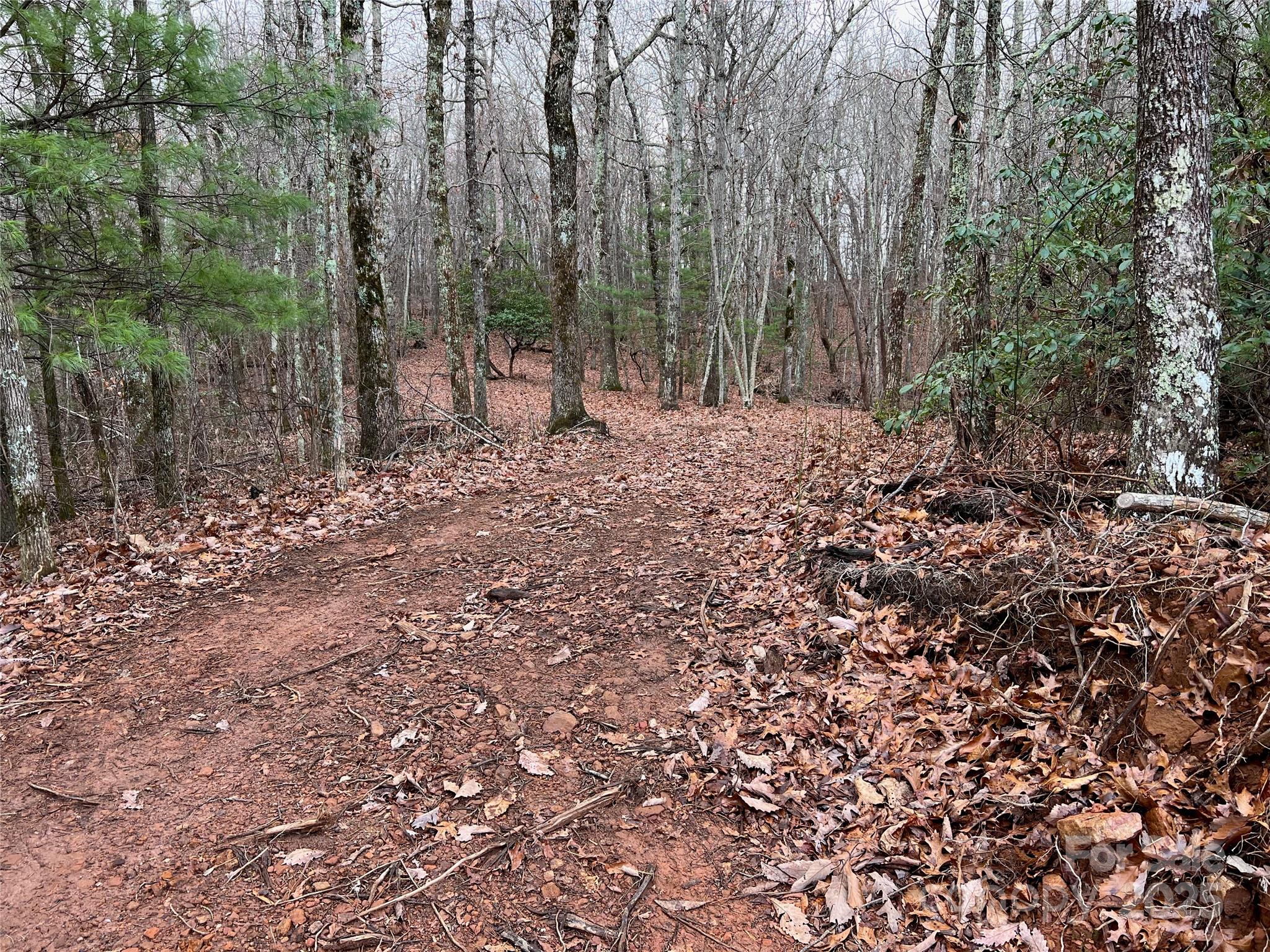 290 Shoal Creek Road