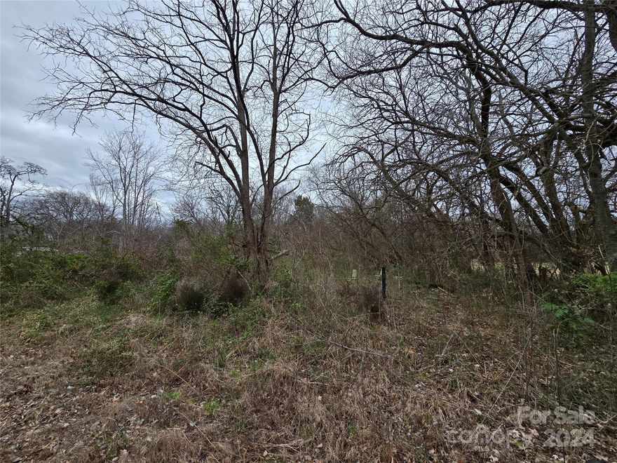 Price drop reflects current info that it does not perc for a 3 bedroom. Mostly level lot good for farming or small livestock. County water is available.