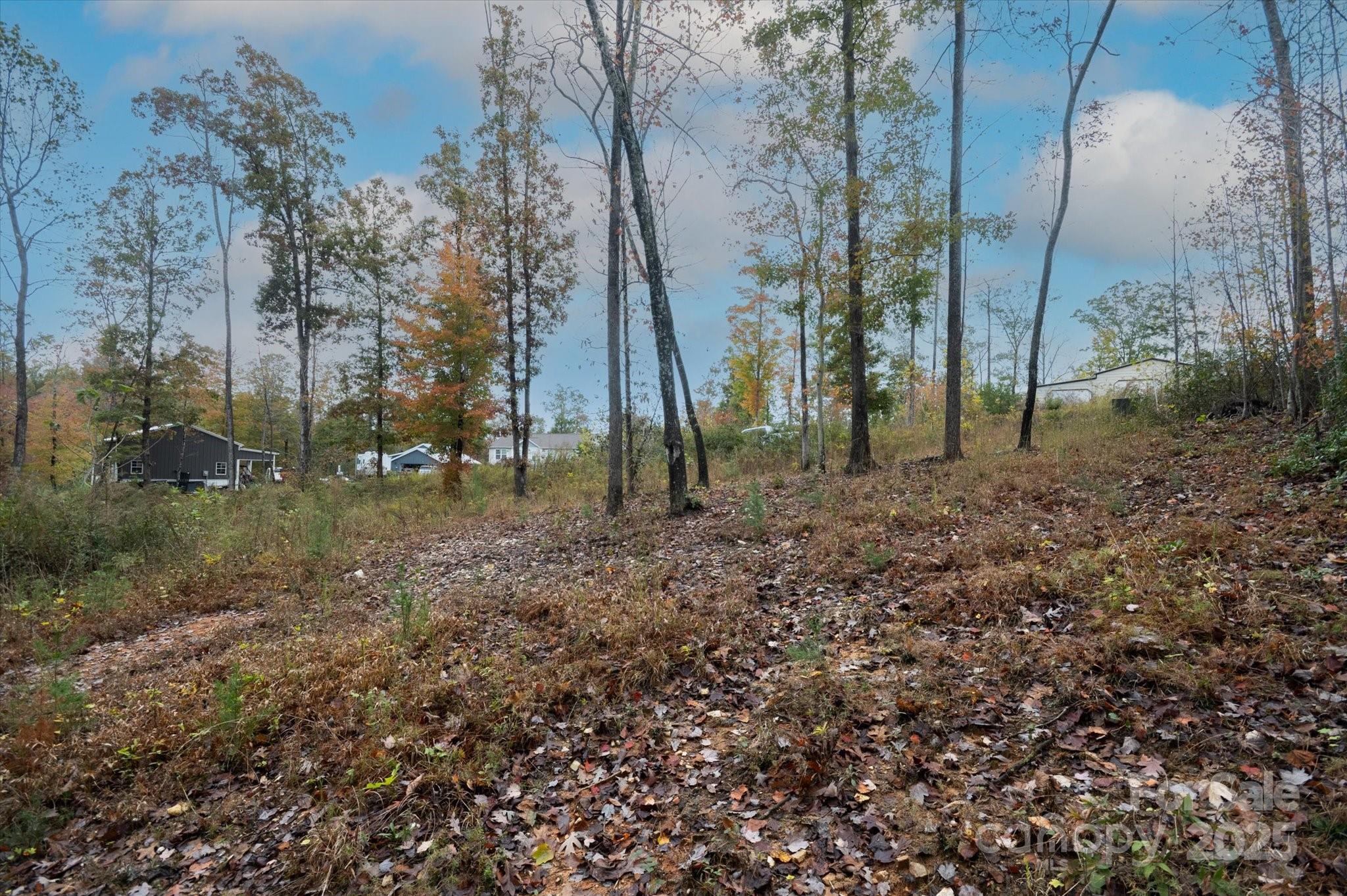 Ole Moose Frontier - Land