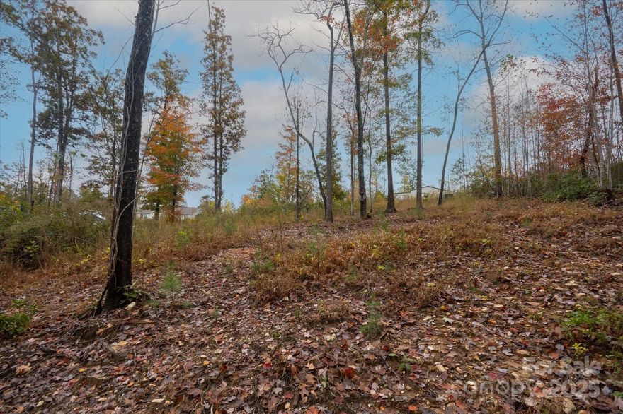 Prime Lake James Living - Vacant Lot – Perfect for Your Dream Home or Retreat!  
Dreaming of lakeside living? This spacious lot offers the ideal opportunity to enjoy all that Lake James has to offer. Just a short drive to put your boat in the water, and easily accessible by your golf cart. This lot provides plenty of outdoor potential—whether you’re interested in gardening, recreation, or creating your own peaceful outdoor sanctuary. Conveniently located in Marion, this property combines the charm of mountain living with proximity to local amenities. Access to the lake is available through a membership at the Moose Lodge, making it easy to enjoy boating, swimming, and relaxing on the water. With minimal restrictions for building, you can craft your primary residence or a second home within a short golf cart ride to Lake James, making it a perfect escape or year-round residence. Don’t miss your chance to own this beautiful lot—schedule your private showing today!