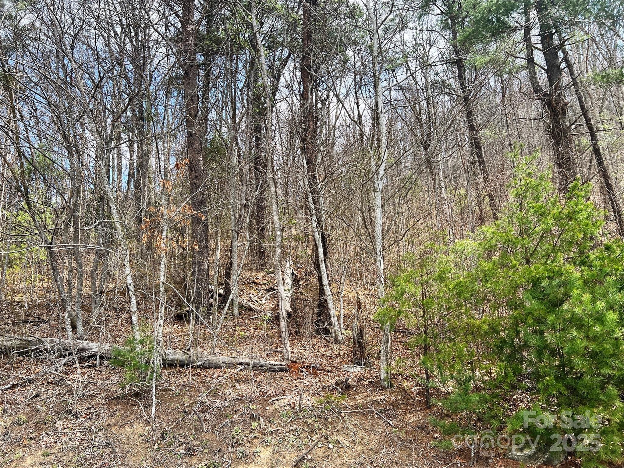 Hidden Valley - Land