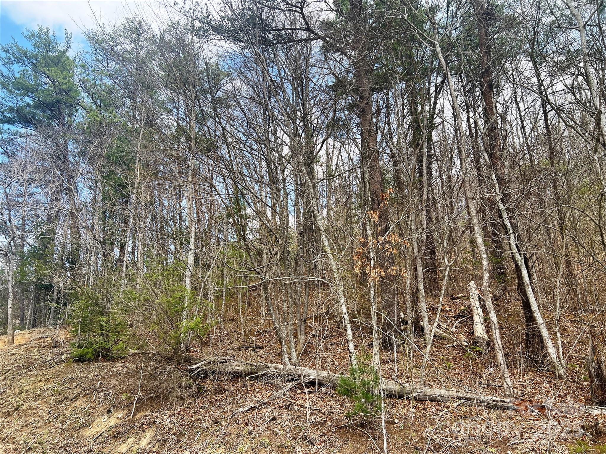 Hidden Valley - Land