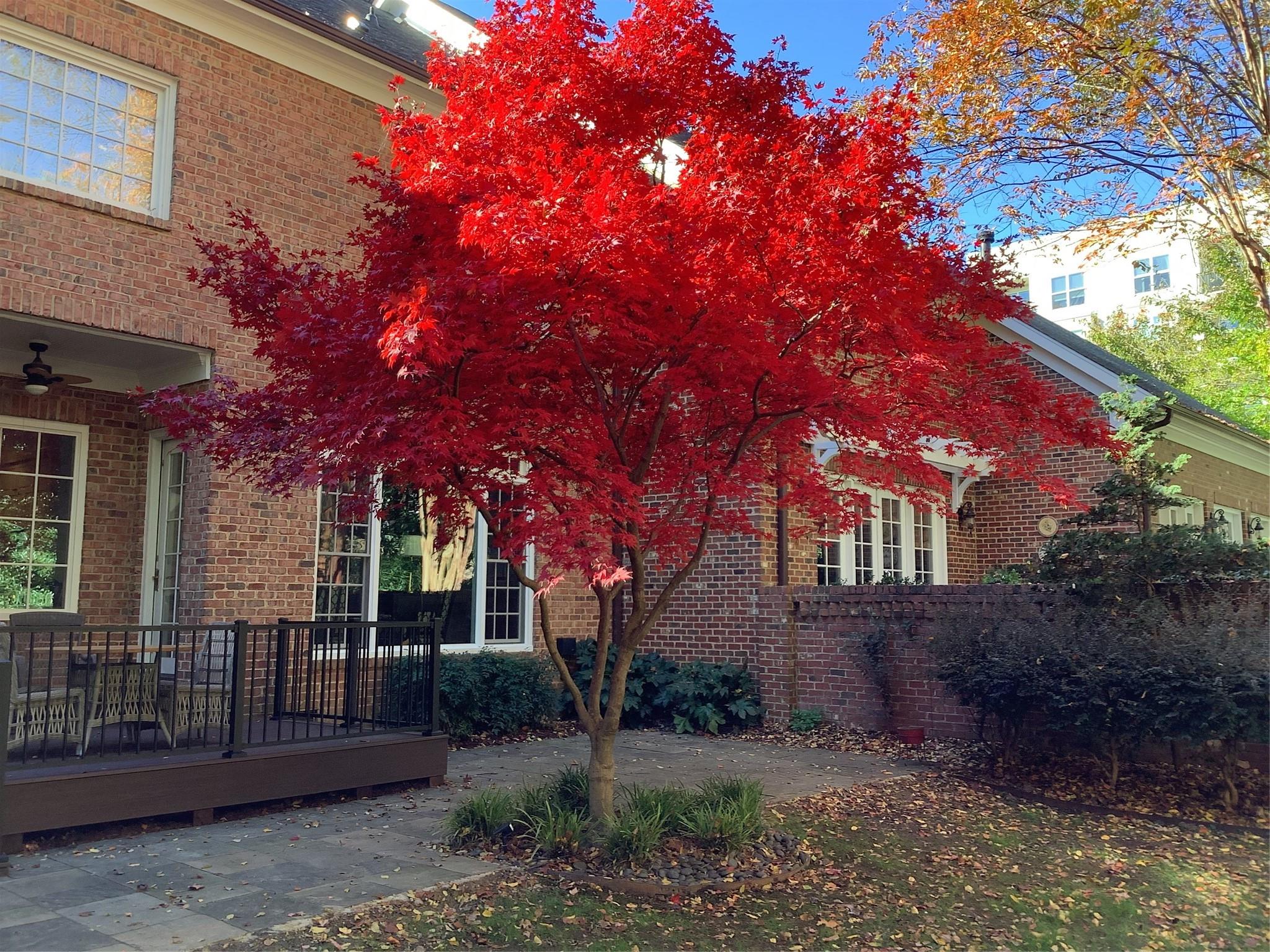 Southpark - Residential