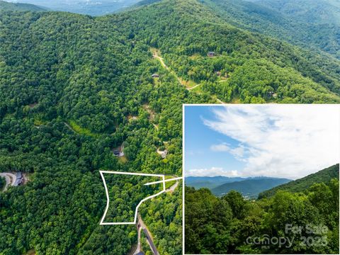 99999 Arborcrest Way 41 Swannanoa NC 28778
