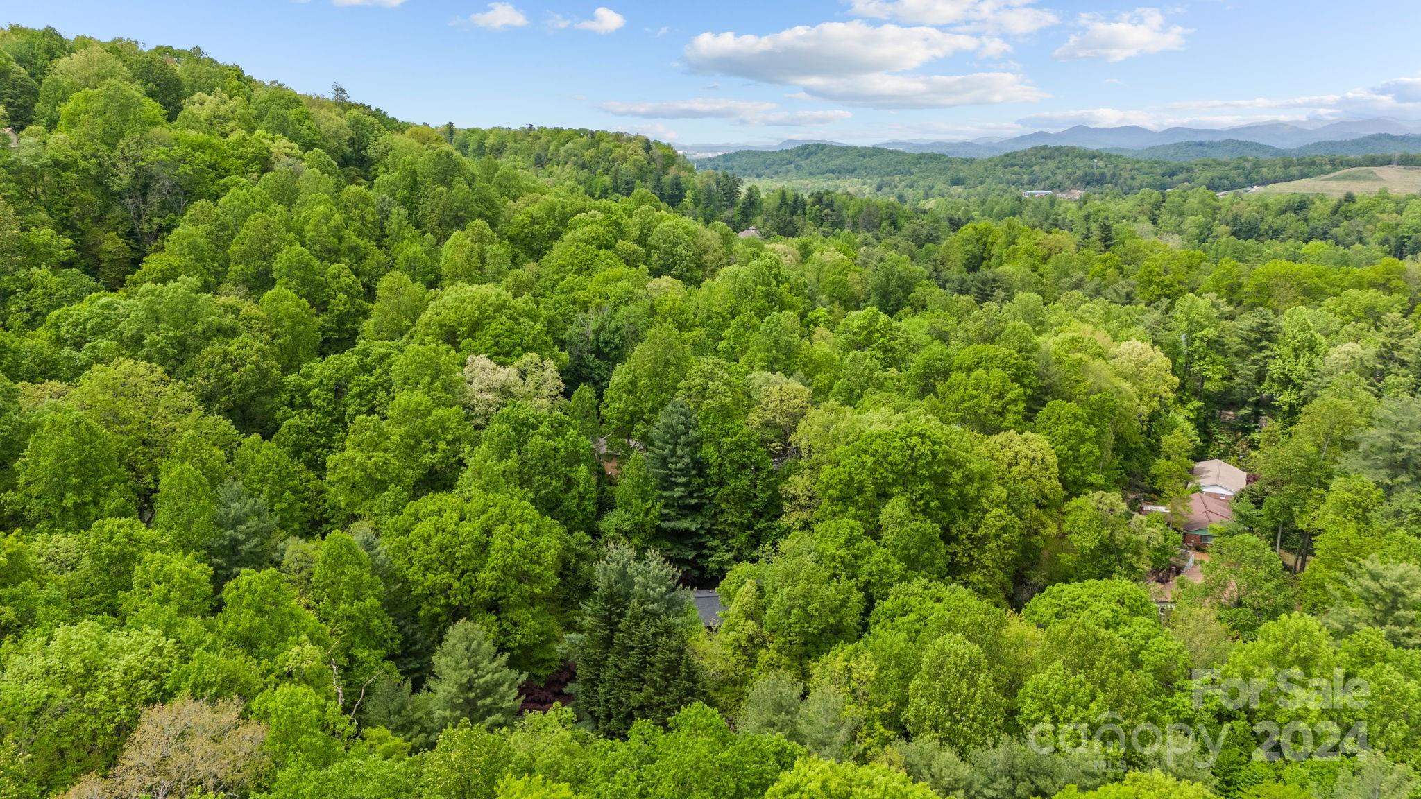 Long John Mt Estates - Residential