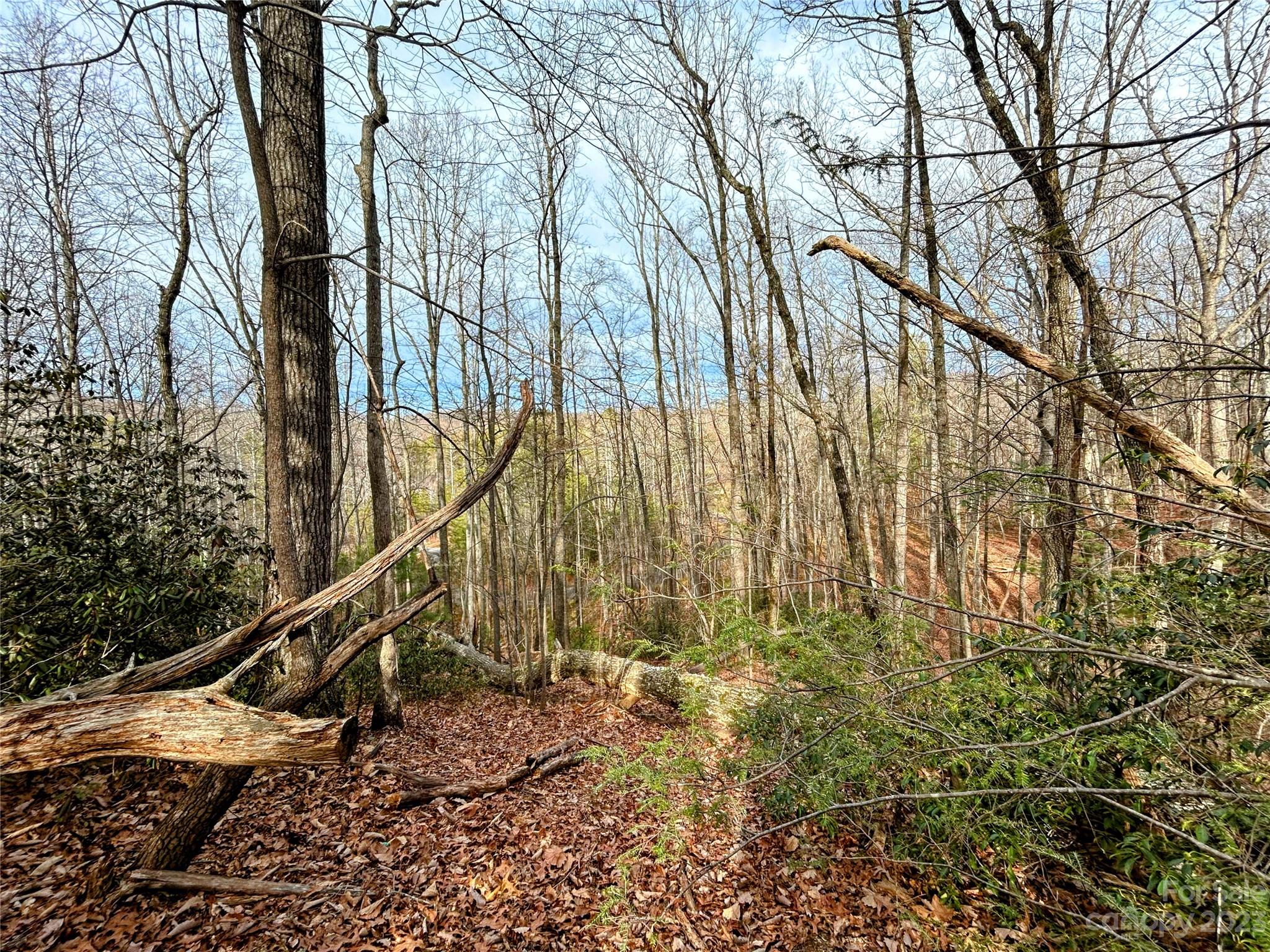 Little Warrior Mtn Estates - Land