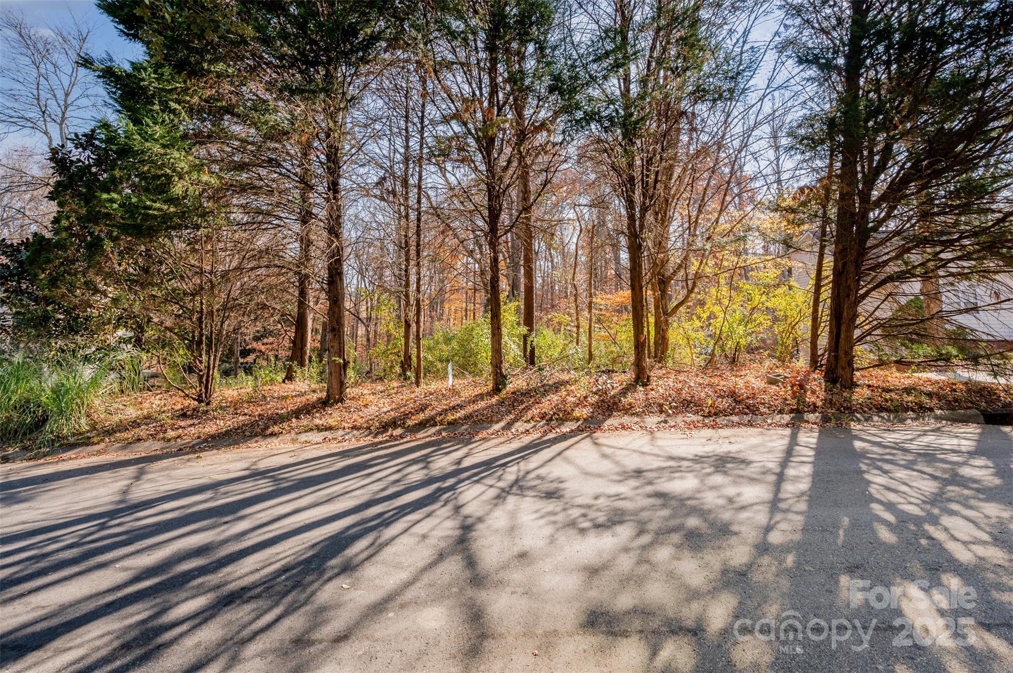 Mallard Crossing - Land