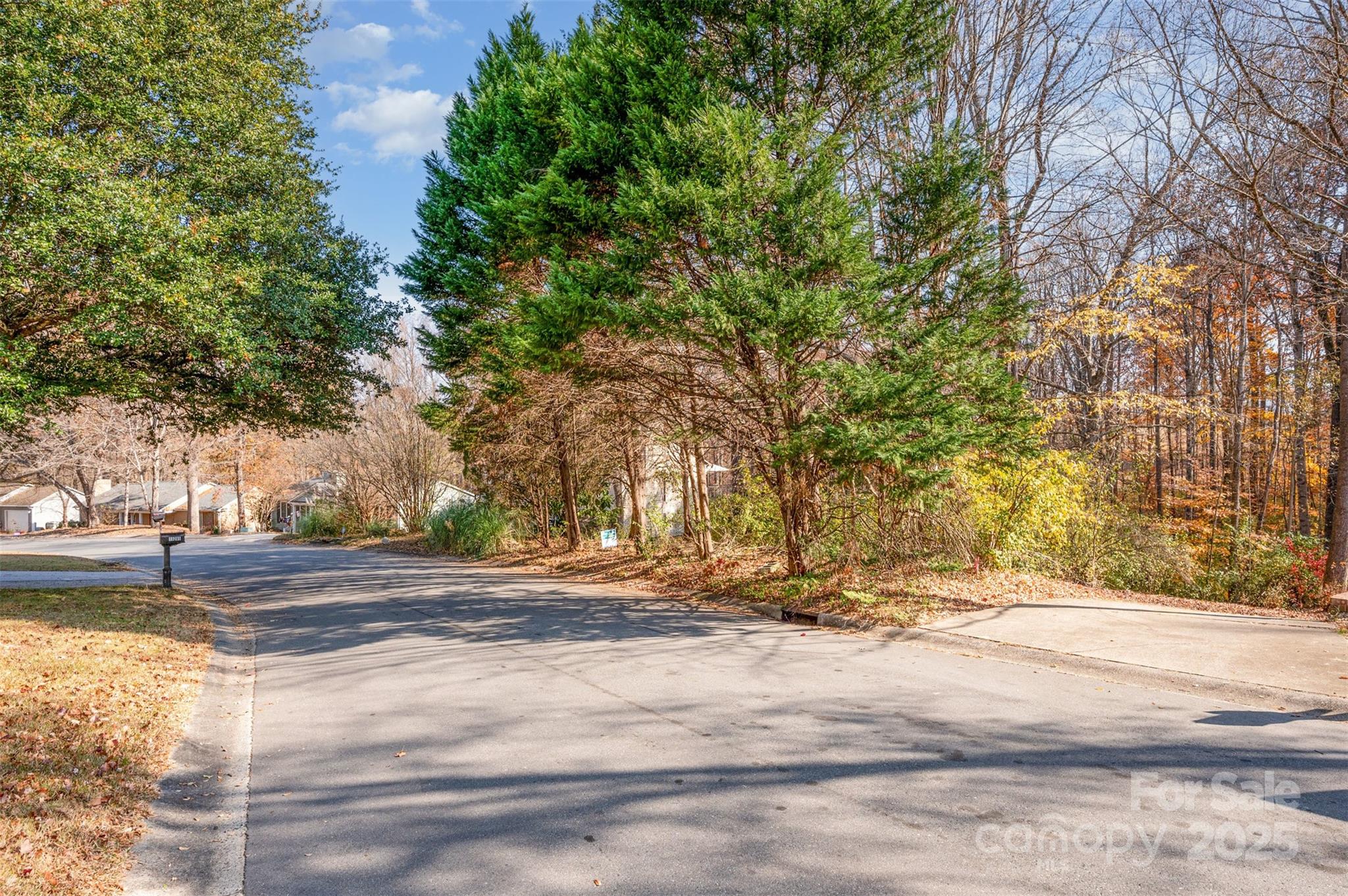Mallard Crossing - Land