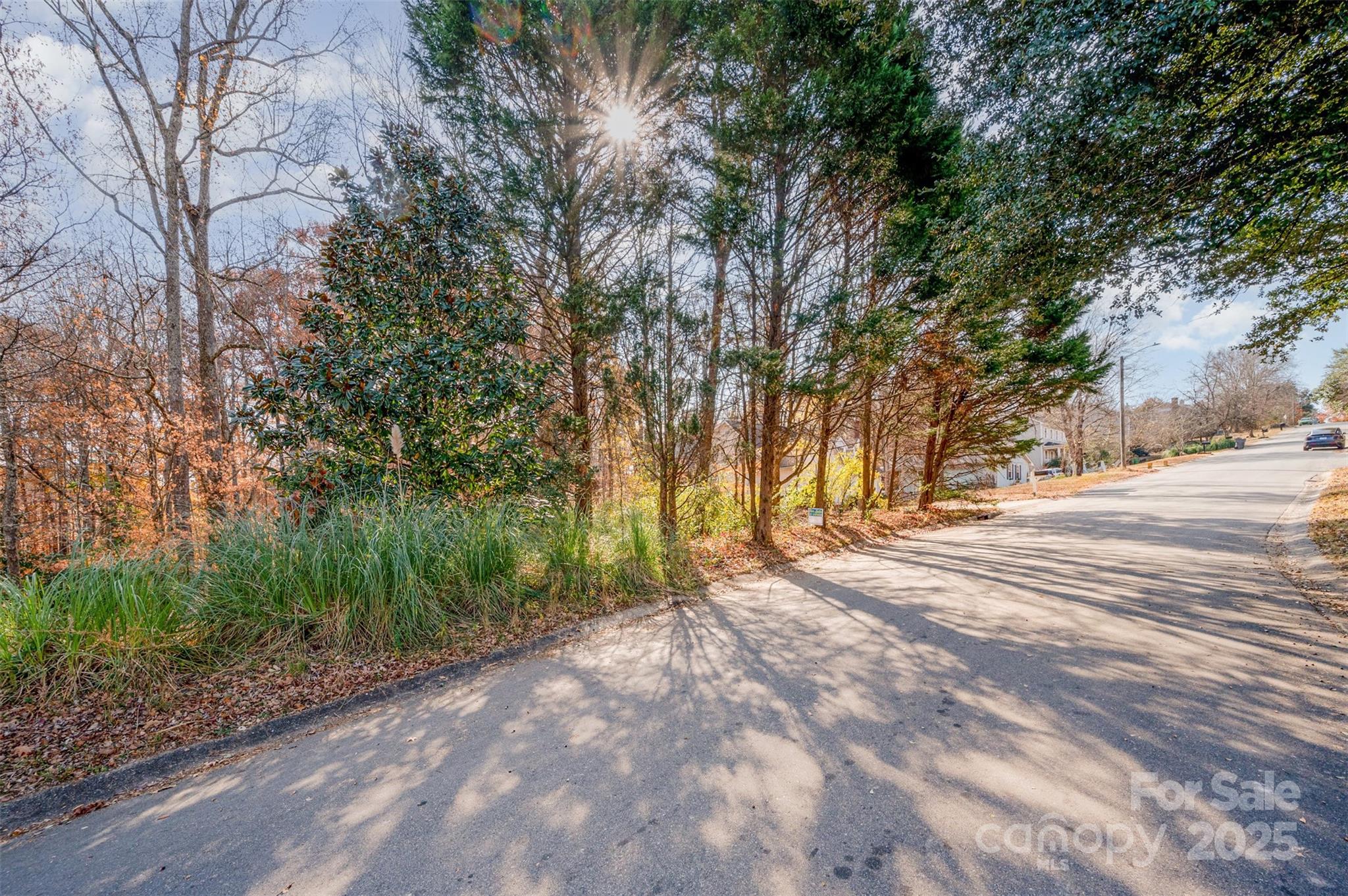 Mallard Crossing - Land