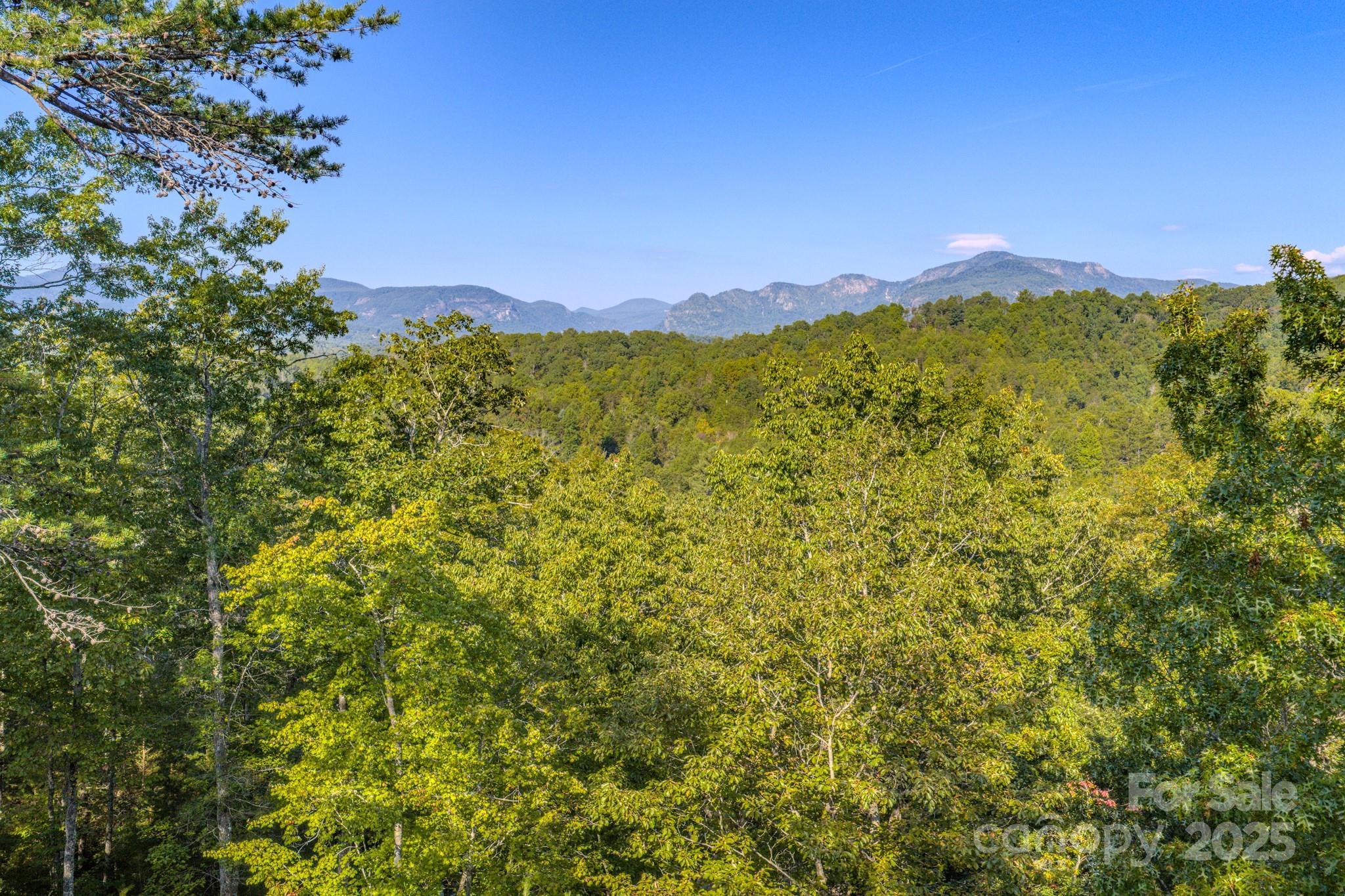 0 Willow Top Lane 332