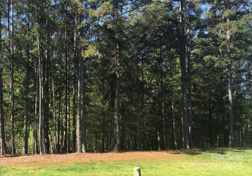 Cheval is a 423 acre community of pure nature – 5 Parks, Trails, Creek and picnic at Wildflower Park.  Wooded home site in The Enclave, Cheval's beautiful gated village. The Enclave offers buyers a unique opportunity to live in the exclusivity of a gated village.