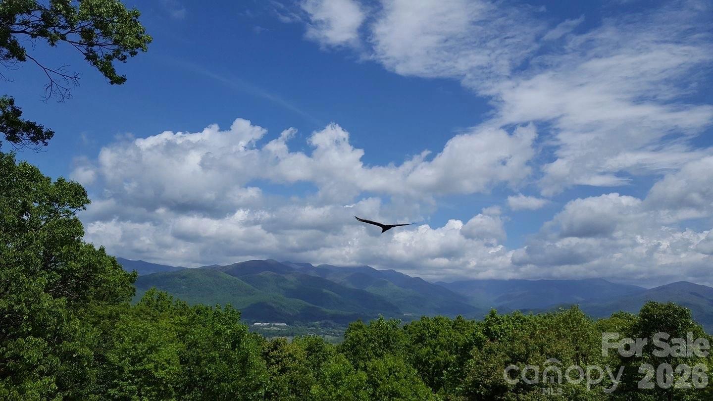 Alpine Mountain - Residential