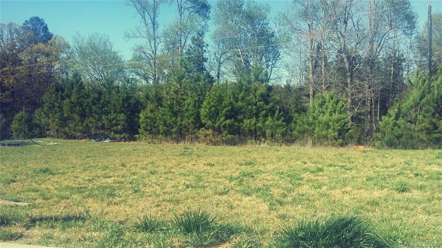 Lot is cleared and ready for you to bring your own builder! Situated in a cul-de-sac and next to the trail to walk to school! Minimum 1,200 sq ft home can be built. For two story homes, 750 sq ft is the minimum on main level and you must have a minimum of 1,200 sq ft total built. Modular and Manufactured homes are not allowed.