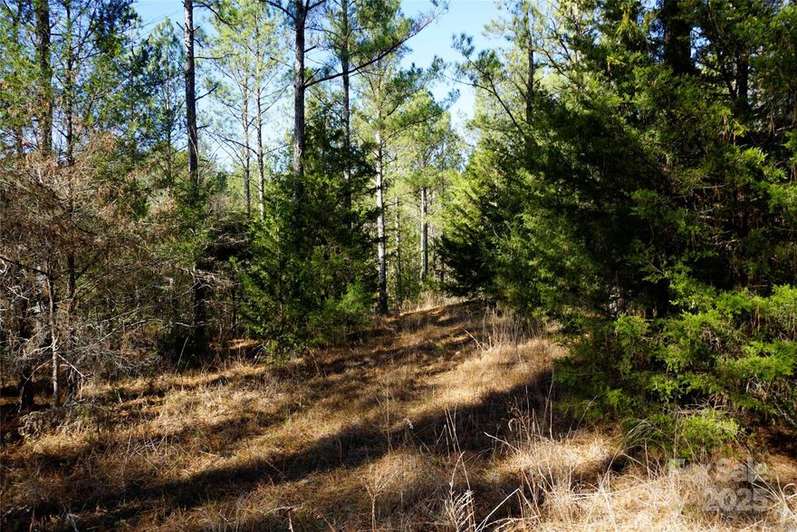 Beautiful 6+/- AC lot offers the ideal blend of space and privacy. Featuring a prime build site located at the center of the property, it’s the perfect setting to build your dream home. Lot is part of a larger tract being that has been divided and comes with light deed restrictions to help maintain like-kind properties. This is a great place to build your dream home or private get away. Come see it for yourself!
