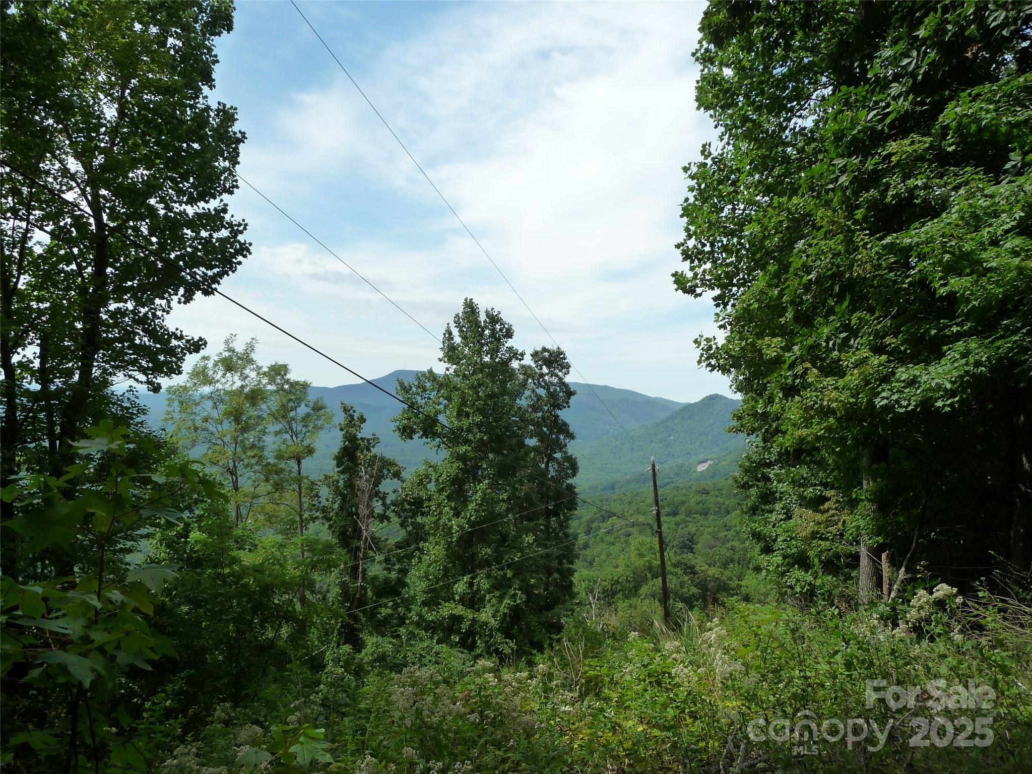 999 Skyuka Mountain Road Lot 9