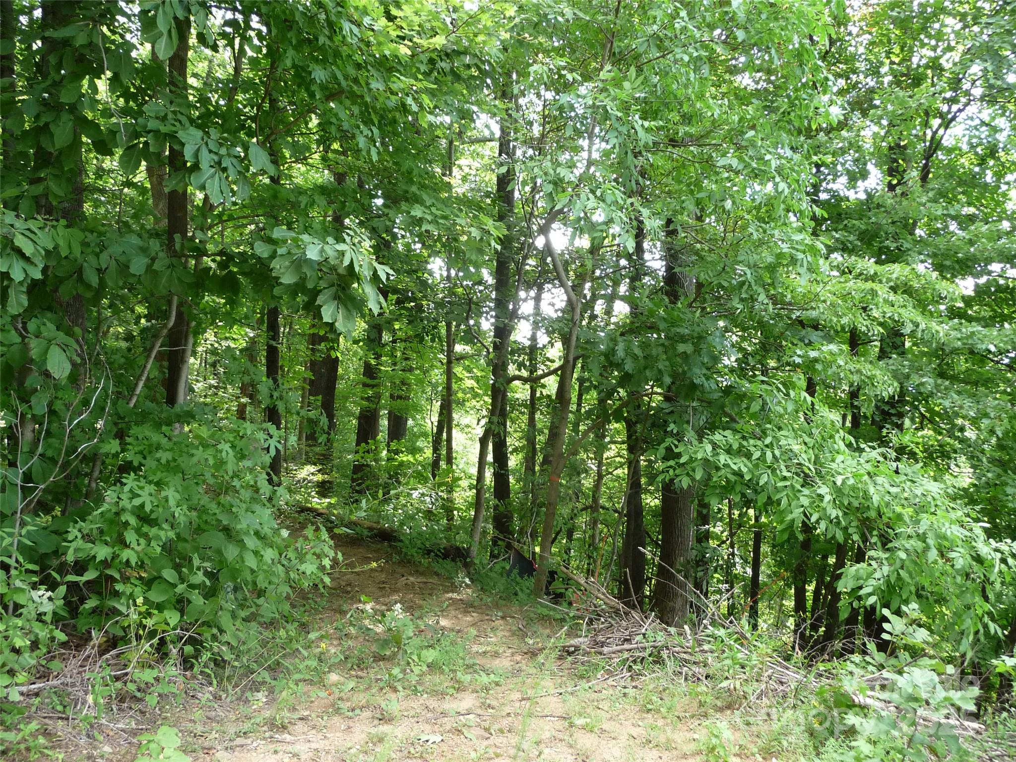 999 Skyuka Mountain Road Lot 9
