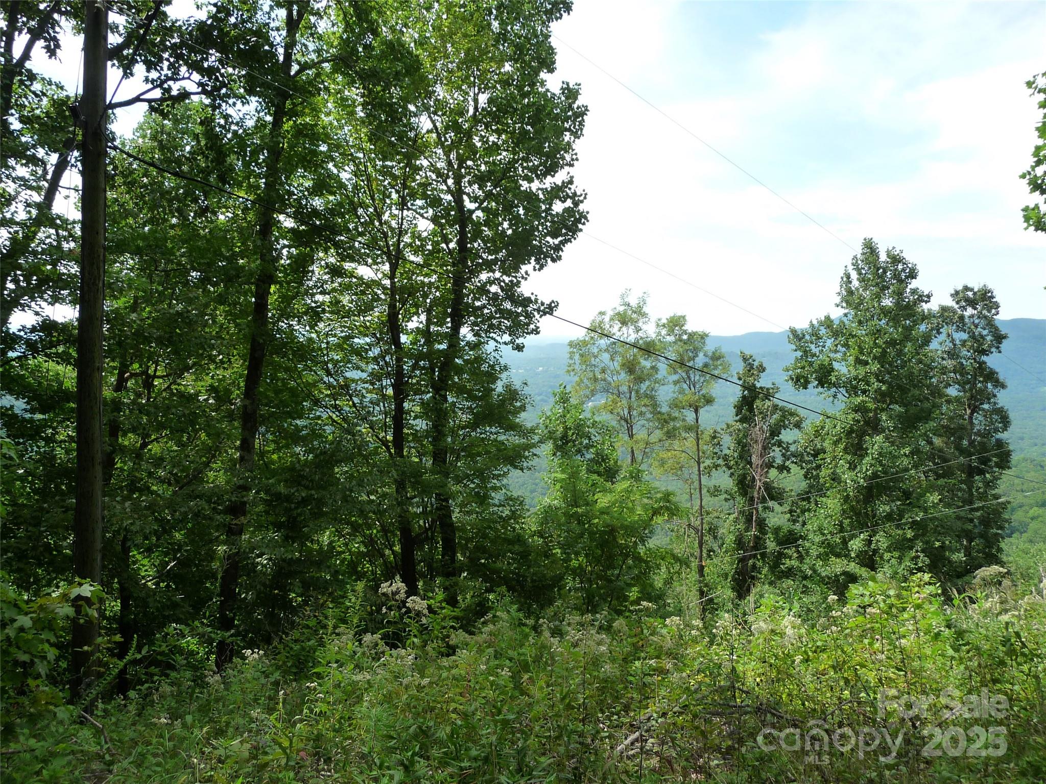 999 Skyuka Mountain Road Lot 9