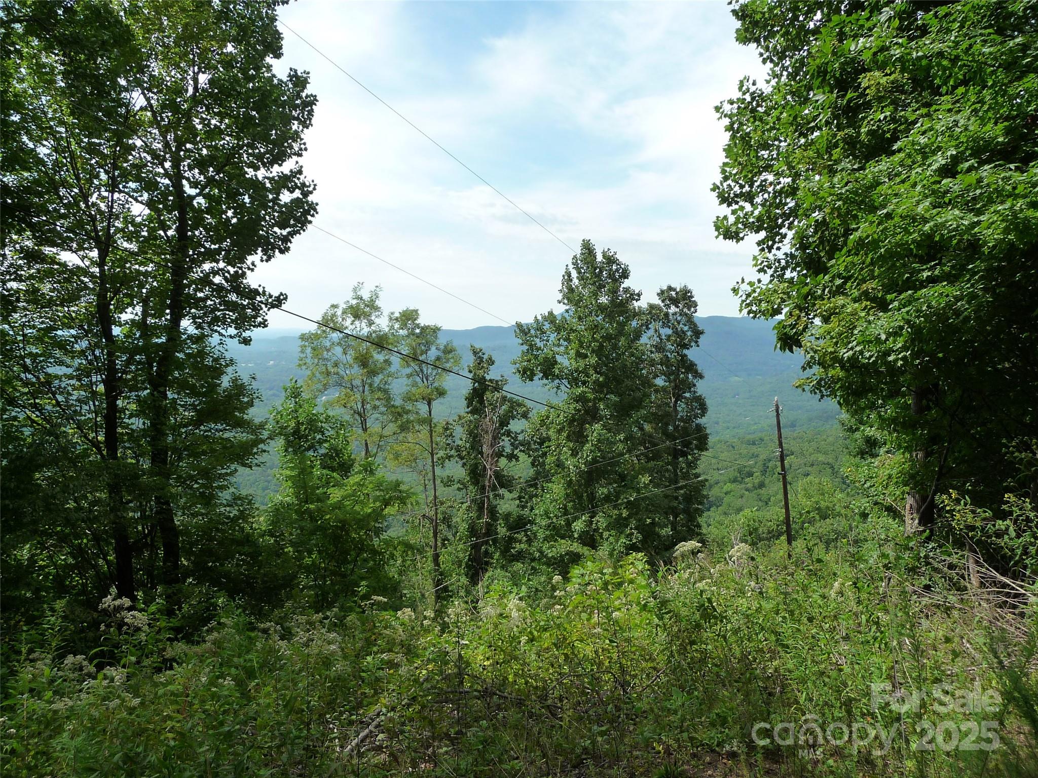 999 Skyuka Mountain Road Lot 9