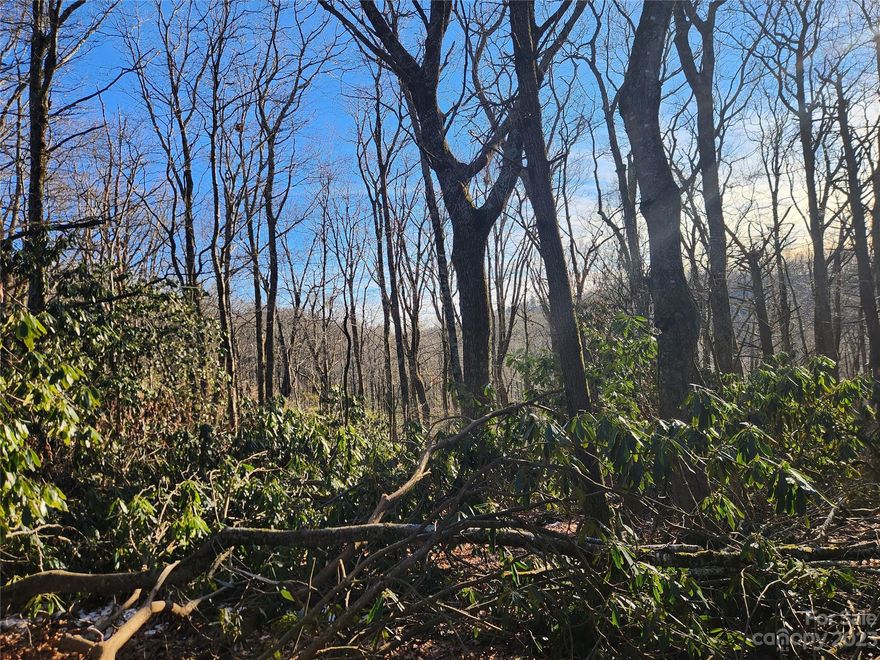 Great Lot in the Heart of Blowing Rock. 3650 ft elevation. All wooded. Amazing views with clearing of homesite. Great paved road frontage. Covenants and Restrictions but no HOA. Both City water meter and Fiber Optic underground utilities. A rare find for such a spacious slice of prime Watauga Land priced to sell under $100,000. Come see it right away and plan your NC Mountain Dream Home.