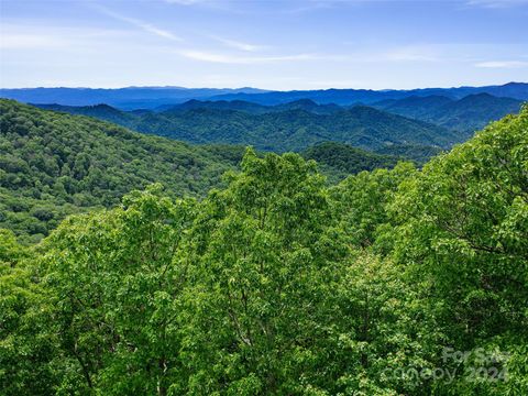 Lot 17 Old Growth Forest Road Burnsville NC 28714