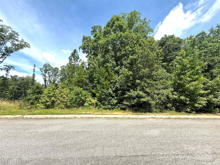 One of two lots being sold next to each other in the lovely College Place neighborhood. Such a great location close to 521 for easy access, USC Lancaster, and everything else in Lancaster. These lots have water and sewer access, but taps will need to be purchased by the buyer. College Place requires a minimum build size to be at least 1,600 square feet. These lots are best suited for a tall crawlspace or basement foundation. If both lots are purchased together it would make for one huge lot with plenty of room!