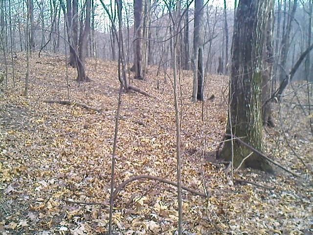 Lot 246 Glen Ridge Trail